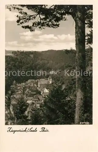 AK / Ansichtskarte Ziegenrueck Blick ins Tal vom Waldrand aus Ziegenrueck