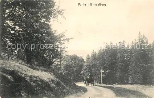 AK / Ansichtskarte Inselsberg_Schmalkalden Weg am Inselsberg Pferdekutsche Inselsberg Schmalkalden