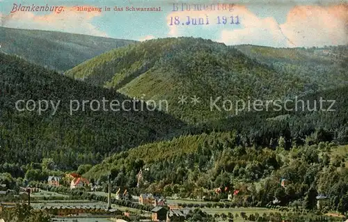 AK / Ansichtskarte Blankenburg_Harz Landschaftspanorama Eingang ins Schwarzatal Blankenburg_Harz