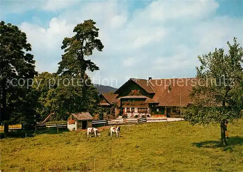 AK / Ansichtskarte Menziken Wirtshus Trolerhof Kuehe Menziken