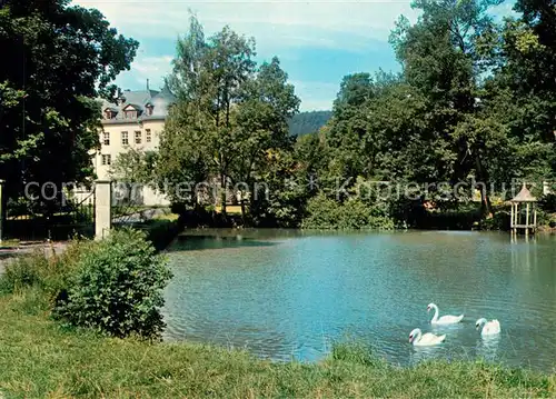 AK / Ansichtskarte Waechtersbach Schlossteich Schwaene Waechtersbach