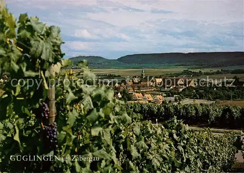 AK / Ansichtskarte Gueglingen Weinberge im Zabergau mti Stromberg Gueglingen