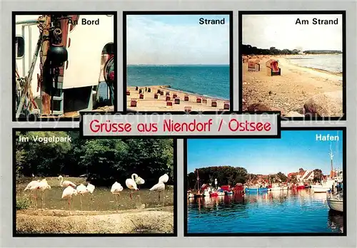 AK / Ansichtskarte Niendorf_Ostseebad An Bord Hafen Vogelpark Niendorf_Ostseebad