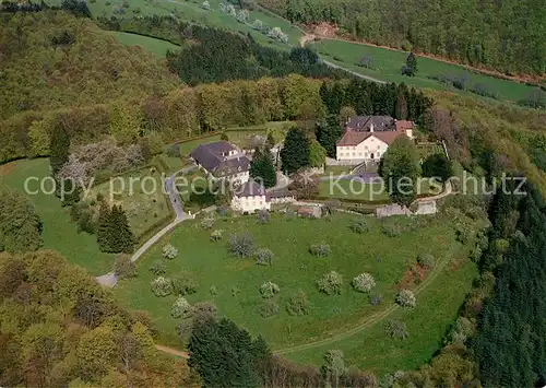 AK / Ansichtskarte Schloss_Buergeln Fliegeraufnahme Schloss Buergeln