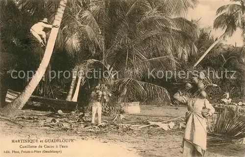 AK / Ansichtskarte Martinique Guadeloupe Cueillettede Cocos a leau Martinique