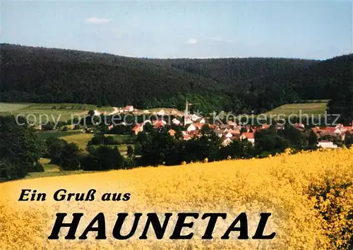 AK / Ansichtskarte Haunetal Panorama Haunetal