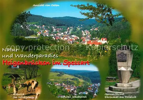 AK / Ansichtskarte Heigenbruecken Panorama Luftkurort Naturpark Spessart Rotwild Wildgehege Spessartbund Ehrenmal Pollasch OT Jakobsthal Heigenbruecken