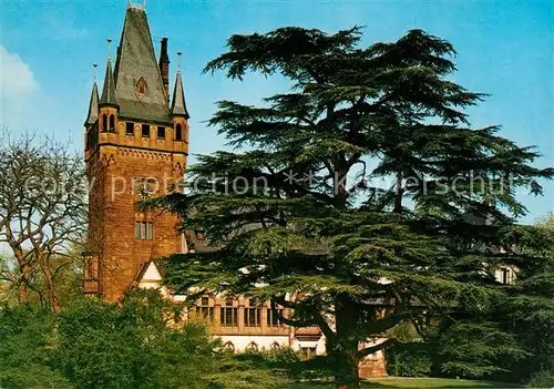 AK / Ansichtskarte Weinheim_Bergstrasse Schloss Park Historische Weinstadt Weinheim_Bergstrasse