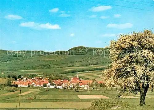 AK / Ansichtskarte Wuestensachsen Landschaftspanorama Naturpark Rhoen Baumbluete Wuestensachsen