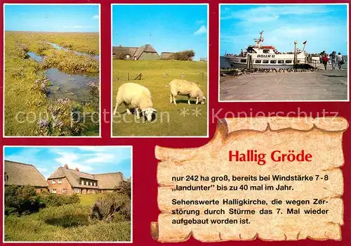 AK / Ansichtskarte Hallig_Groede Landschaftspanorama Schafe Haeuser Hafen Hallig Groede