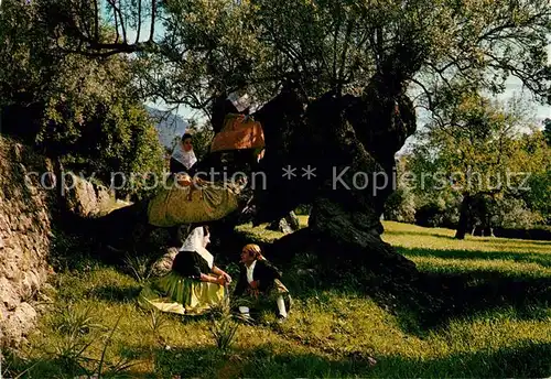 AK / Ansichtskarte Valldemosa Trajes tipicos y Olivio Milenario Trachten Olivenbaum Valldemosa