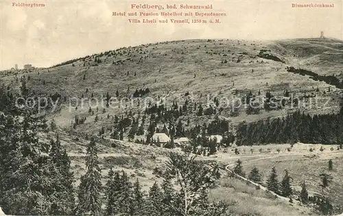 AK / Ansichtskarte Feldberg_Schwarzwald Hotel Pension Hebelhof Feldbergturm Bismarckdenkmal Feldberg Schwarzwald