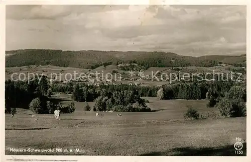 AK / Ansichtskarte Haeusern_Schwarzwald Panorama Haeusern Schwarzwald