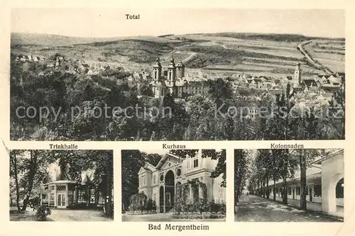 AK / Ansichtskarte Bad_Mergentheim Panorama Trinkhalle Kurhaus Kolonnaden Bad_Mergentheim