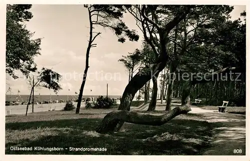 AK / Ansichtskarte Kuehlungsborn_Ostseebad Strandpromenade Kuehlungsborn_Ostseebad