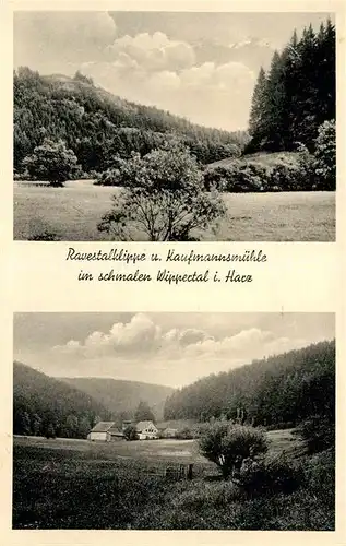 AK / Ansichtskarte Harz_Region Ravestalklippe und Kaufmannsmuehle im Wippertal Harz Region