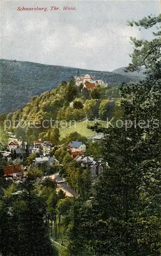 AK / Ansichtskarte Schwarzburg_Thueringer_Wald Panorama Kuenstlerkarte Schwarzburg_Thueringer