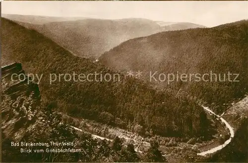 AK / Ansichtskarte Blankenburg_Bad Panorama vom Griesbachfelsen Blankenburg_Bad