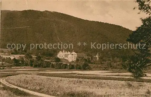 AK / Ansichtskarte Blankenburg_Bad Waldsanatorium Schwarzeck Blankenburg_Bad