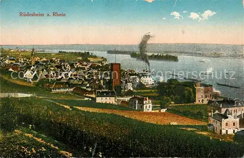 AK / Ansichtskarte Ruedesheim_Rhein Panorama  Ruedesheim Rhein