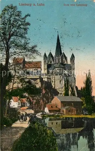 AK / Ansichtskarte Limburg_Lahn Dom Lahnweg Limburg_Lahn