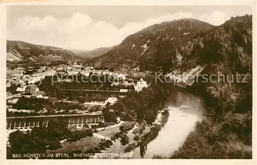 AK / Ansichtskarte Bad_Muenster_Stein_Ebernburg Rheingrafenstein Gans Bad_Muenster