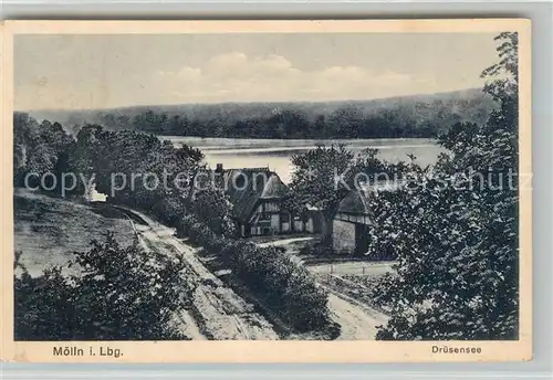 AK / Ansichtskarte Moelln_Lauenburg Druesensee Moelln_Lauenburg