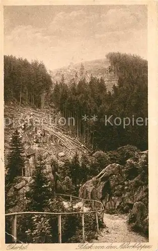 AK / Ansichtskarte Okertal Blick von den Adlerklippen Okertal