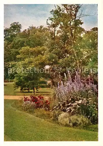 AK / Ansichtskarte Bundesgartenschau Kassel Staudengruppe Bundesgartenschau