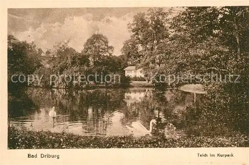 AK / Ansichtskarte Bad_Driburg Teich im Kurpark Bad_Driburg