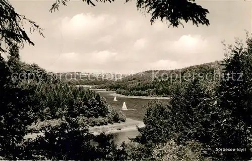 AK / Ansichtskarte Sorpesee_Sauerland Panorama Sorpesee_Sauerland