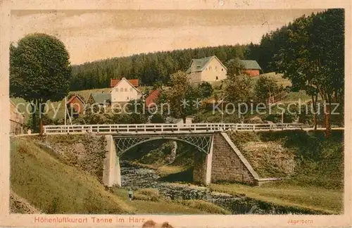 AK / Ansichtskarte Tanne_Harz Bruecke Tanne_Harz