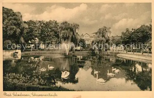 AK / Ansichtskarte Bad_Salzelmen Schwanenteich Bad_Salzelmen