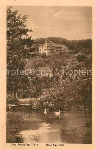 AK / Ansichtskarte Ilsenburg_Harz Hotel Waldhoehe Ilsenburg Harz