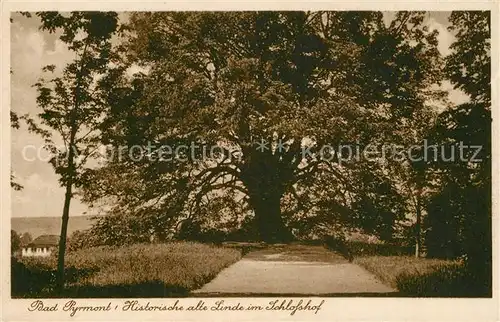 AK / Ansichtskarte Bad_Pyrmont Historische alte Linde im Schlosshof Bad_Pyrmont