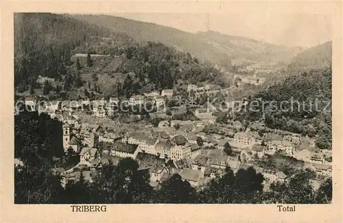 AK / Ansichtskarte Triberg_Schwarzwald Panorama Triberg Schwarzwald