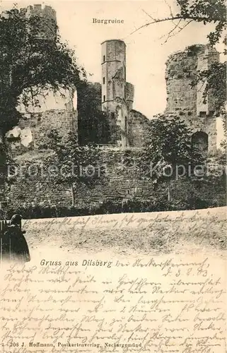 AK / Ansichtskarte Dilsberg Burgruine Dilsberg