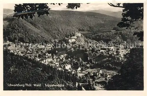 AK / Ansichtskarte Schwarzburg_Thueringer_Wald Trippsteinblick Schwarzburg_Thueringer