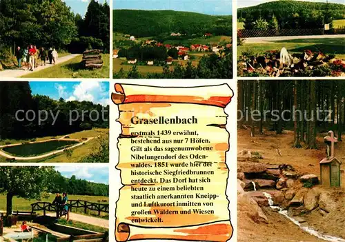 AK / Ansichtskarte Gras Ellenbach Panorama Teilansichten Siegfriedbrunnen Gras Ellenbach