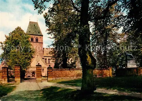 AK / Ansichtskarte Ratzeburg Dom Ratzeburg