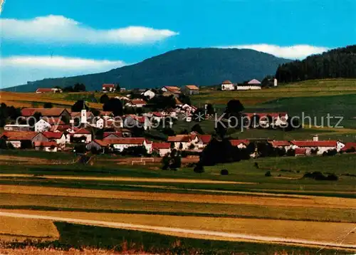 AK / Ansichtskarte Warzenried Panorama Erholungsort Bayerischer Wald Warzenried