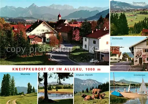 AK / Ansichtskarte Oy Mittelberg Daumenblick Dorfstrasse Gruentensee Kuehe Moorweg Oy Mittelberg