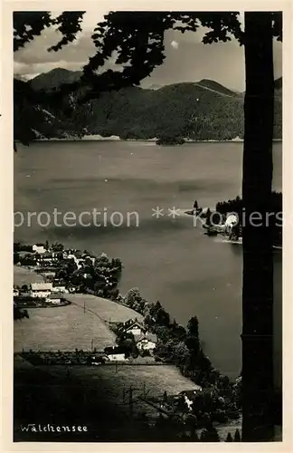 AK / Ansichtskarte Walchensee Panorama Walchensee