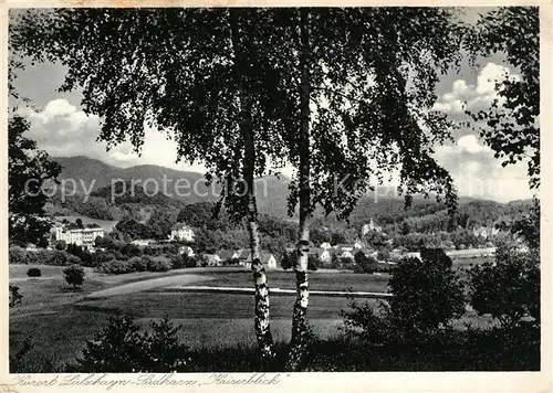 AK / Ansichtskarte Suelzhayn Kaiserblick Suelzhayn