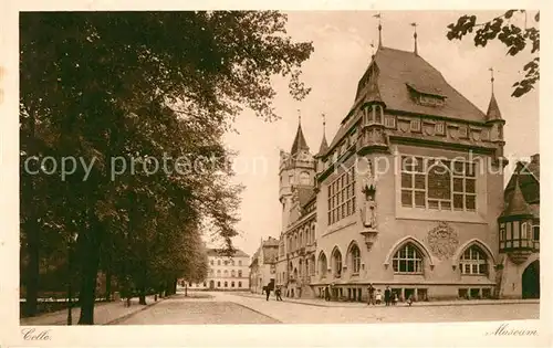 AK / Ansichtskarte Celle_Niedersachsen Museum Celle_Niedersachsen