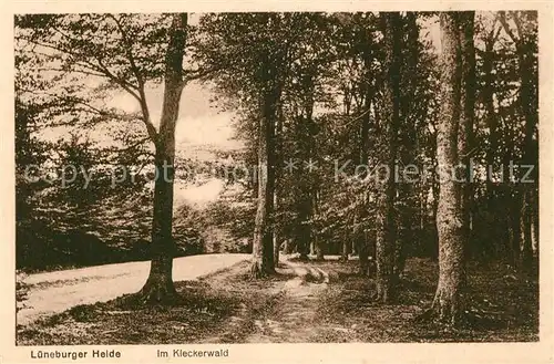 AK / Ansichtskarte Lueneburger_Heide Im Kleckerwald Lueneburger Heide