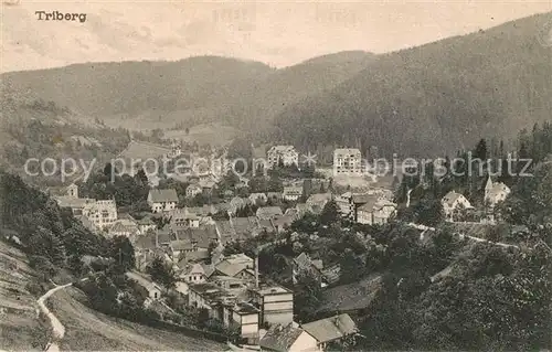 AK / Ansichtskarte Triberg_Schwarzwald Panorama Triberg Schwarzwald