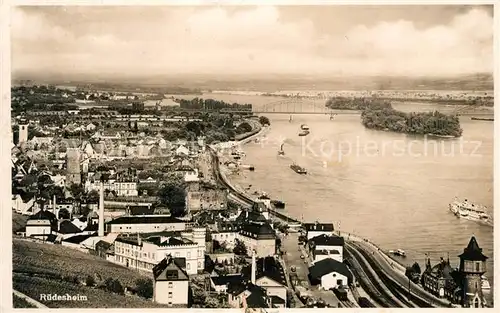 AK / Ansichtskarte Ruedesheim_Rhein Panorama Ruedesheim Rhein