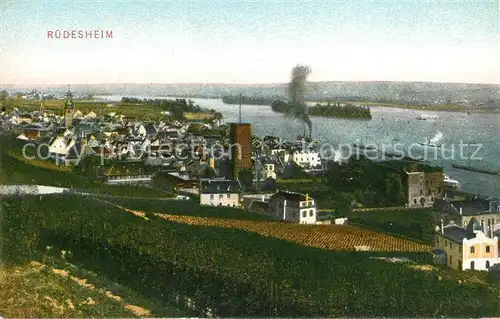 AK / Ansichtskarte Ruedesheim_Rhein Panorama Ruedesheim Rhein