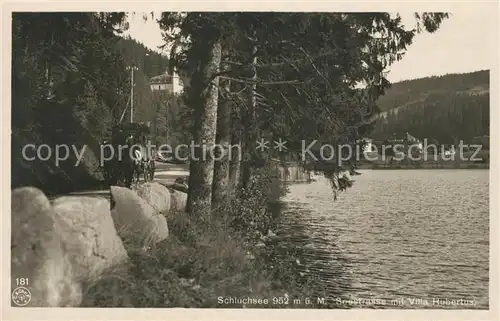 AK / Ansichtskarte Schluchsee Seestrasse mit Villa Hubertus Schluchsee